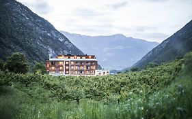 Hotel Burgaunerhof